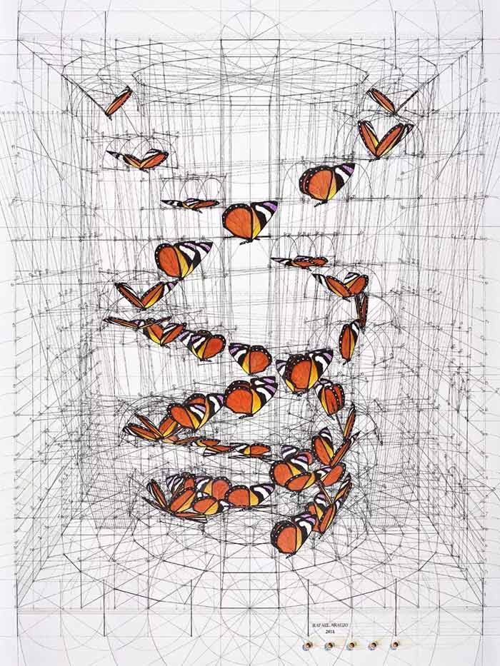 同时喜欢艺术和数学的人 尺规作画让人肝颤